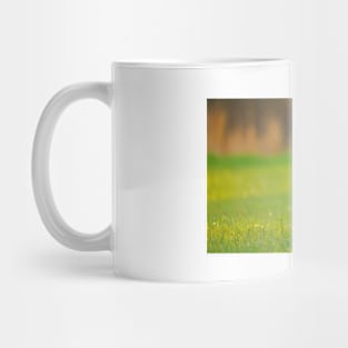 Turkey Mug